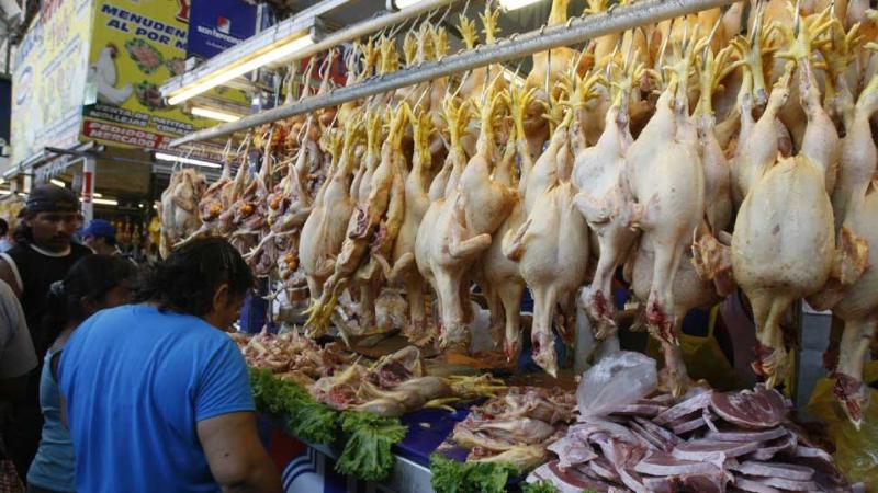 Precio del pollo y huevo se regularizaría en septiembre, señaló la titular del Midagri