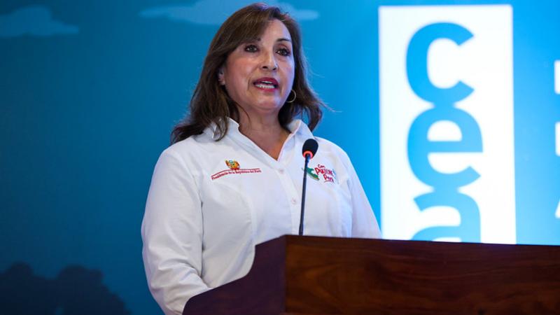 presidenta dina boluarte pacificación protestas sociales