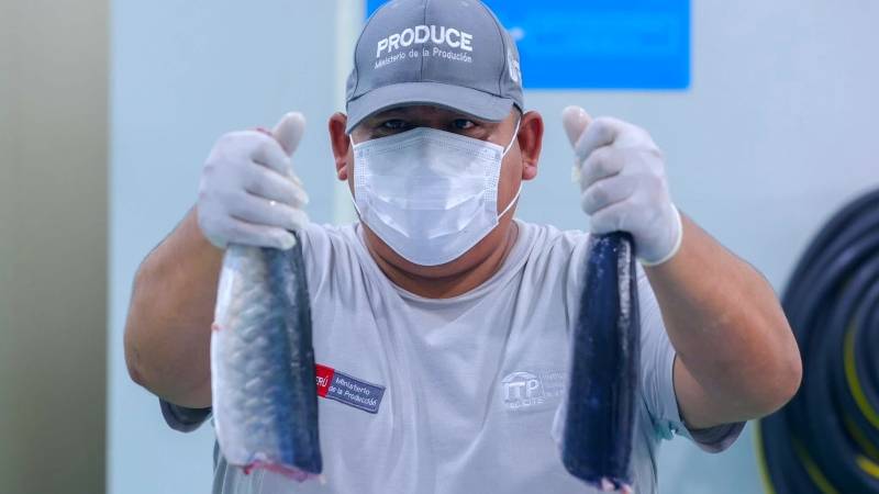 Callao Produce pescado acuicultura pesca