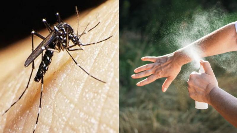 Pucallpa: crean repelente en spray para combatir el dengue