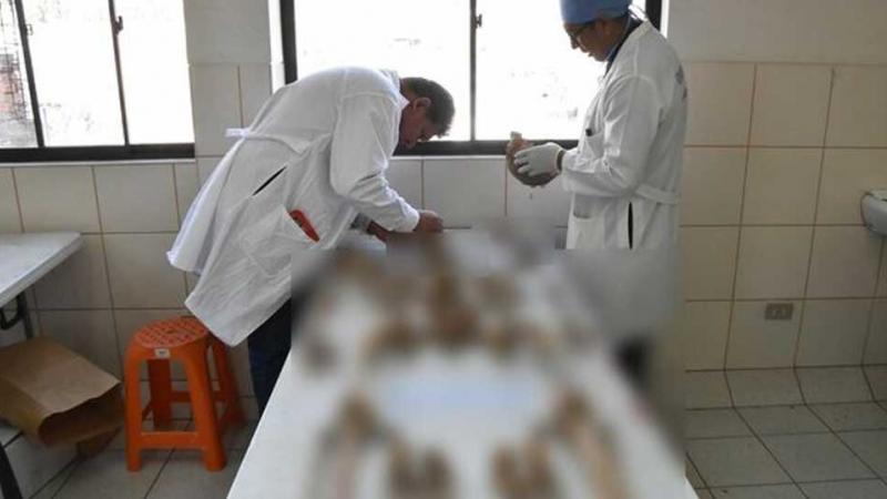 Caso Los Cabitos restos óseos  fallecidos en Ayacucho