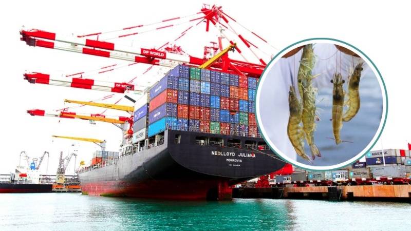 sanipes pesca nacional exportaciones productos pesqueros  sanipes