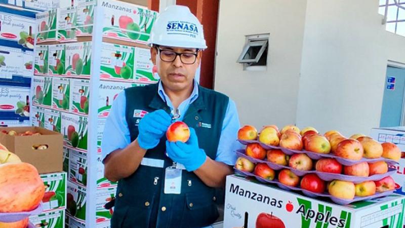 Perú suspende importación de manzana de Chile