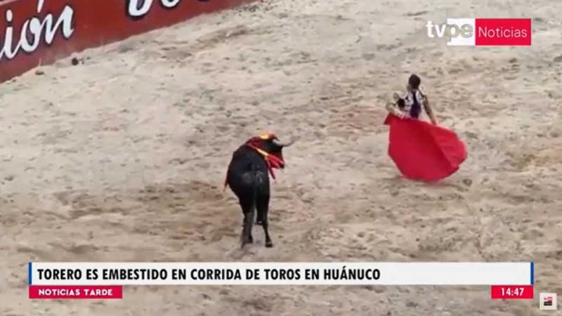 Huánuco: torero español es embestido durante corrida de toros