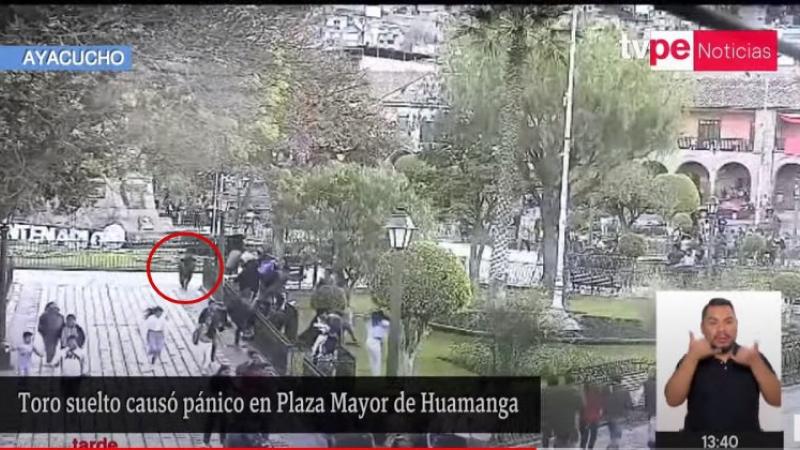 toro suelto pánico Plaza Mayor de Huamanga