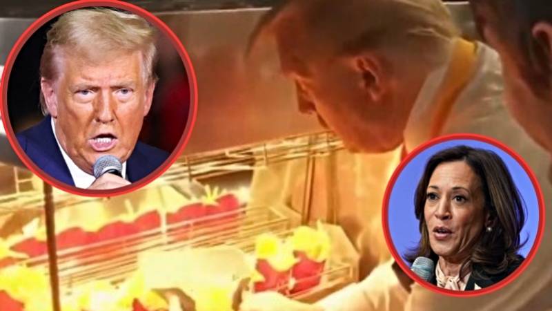 trump harris estados Unidos