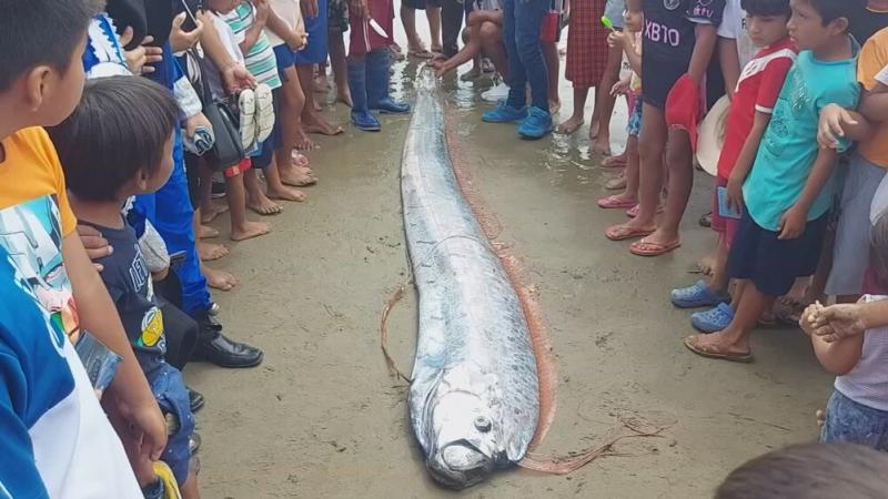 Tumbes Pescadores Pesca Pez remo pronóstico clima terremotos tsunamis ciclón Yaku