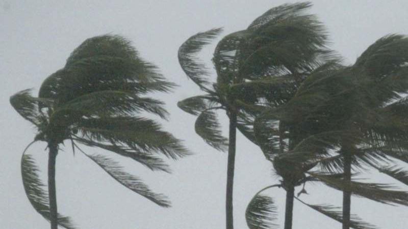 VIENTO EN LA COSTA