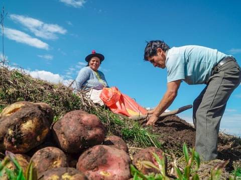 agropecuarios censo inei agricultores