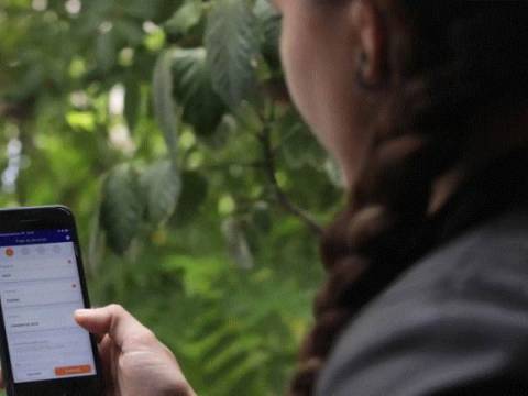 Billeteras digitales