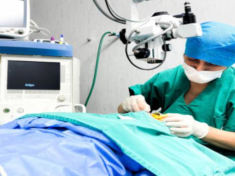 capacidad quirurgica 