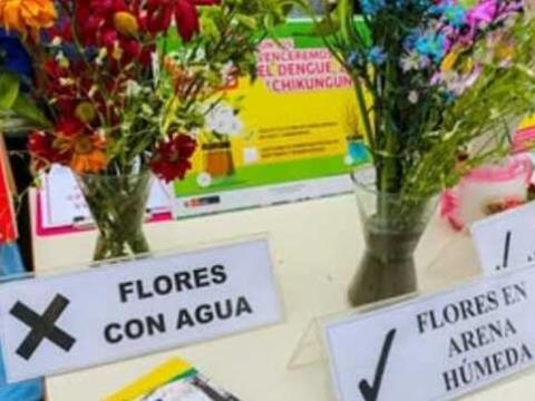 Semana Santa: Minsa recomienda reemplazar el agua de los floreros por arena húmeda