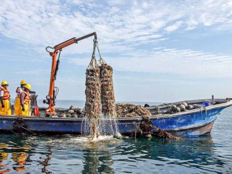 embarcación pesquera