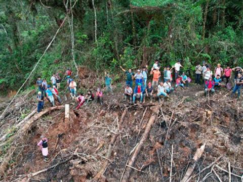 MIDAGRI paraliza deforestación de tres hectáreas de bosque natural