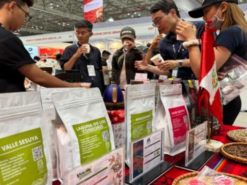 Promocionan variedades de café en Vietnam
