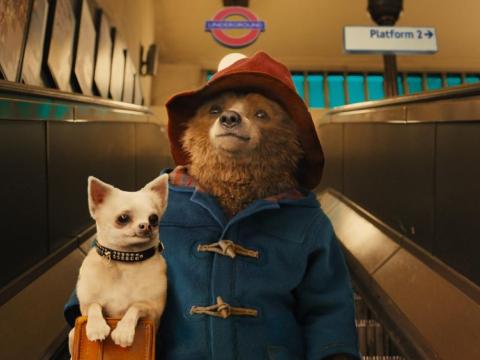 paddington