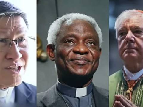 papa vaticano africano francisco 