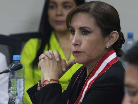 Patricia Benavides: Poder Judicial  tutela de derechos