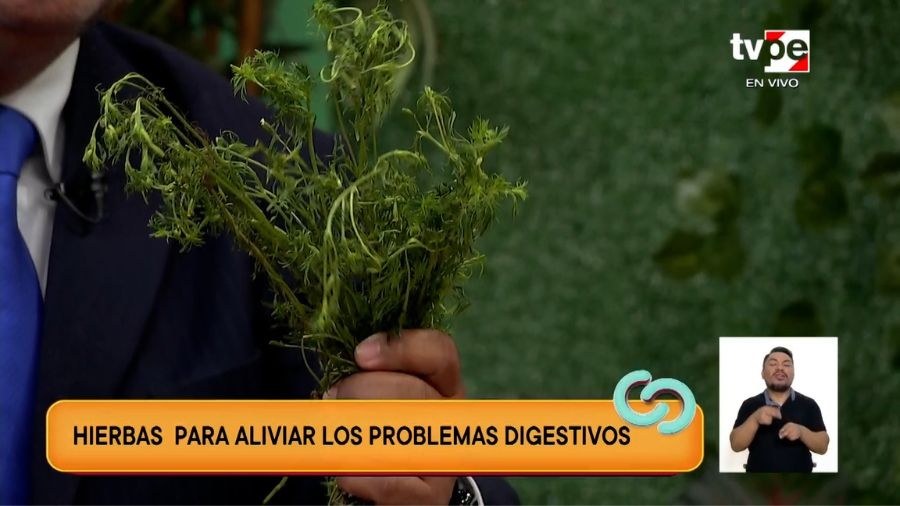 Plantas medicinales para problemas digestivos