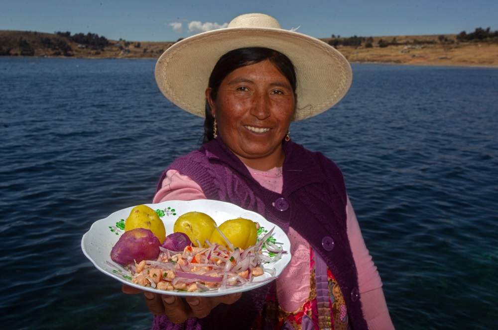 Ceviche Dina Boluarte Unesco regiones