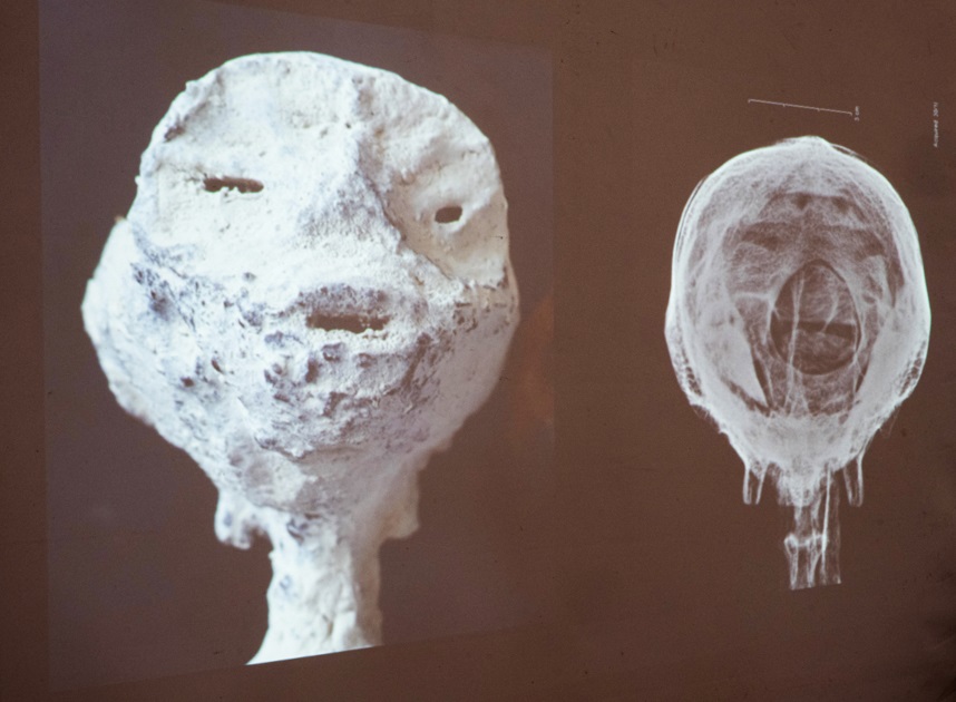 Cabeza momia humanoide perú méxico peritaje