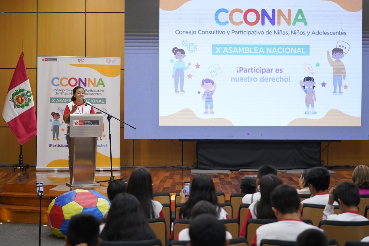 CCONNA ministerio de la mujer MMPV niños consejo provincia 