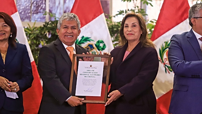 Dina Boluarte presidenta 