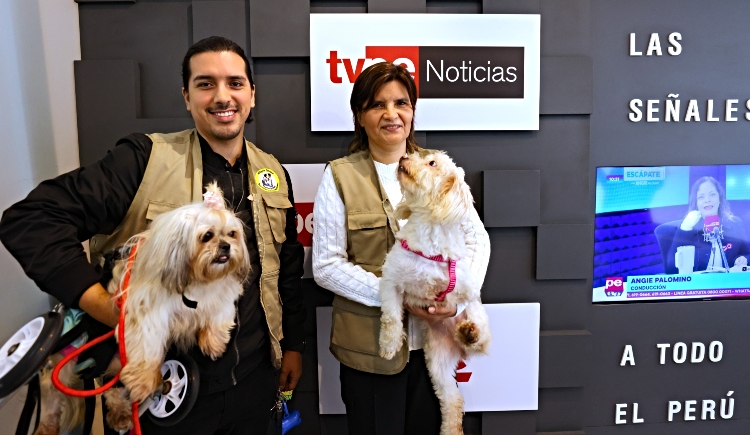 irtp valores 