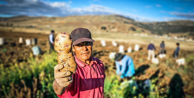 midagri agricultura campesinos