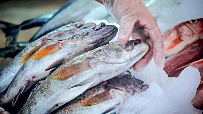 pescado Semana Santa NOta consejos