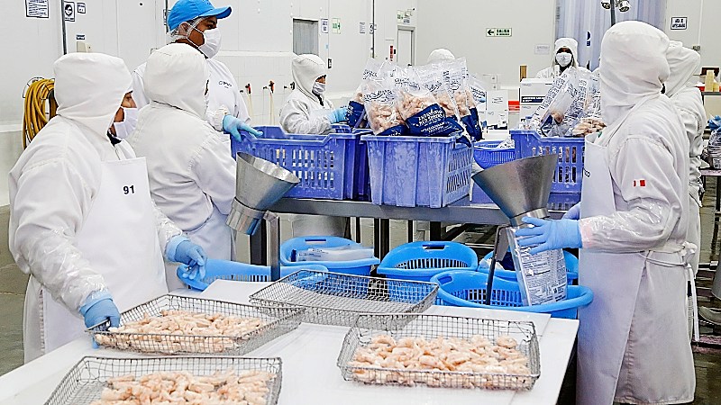 Produce exportaciones 