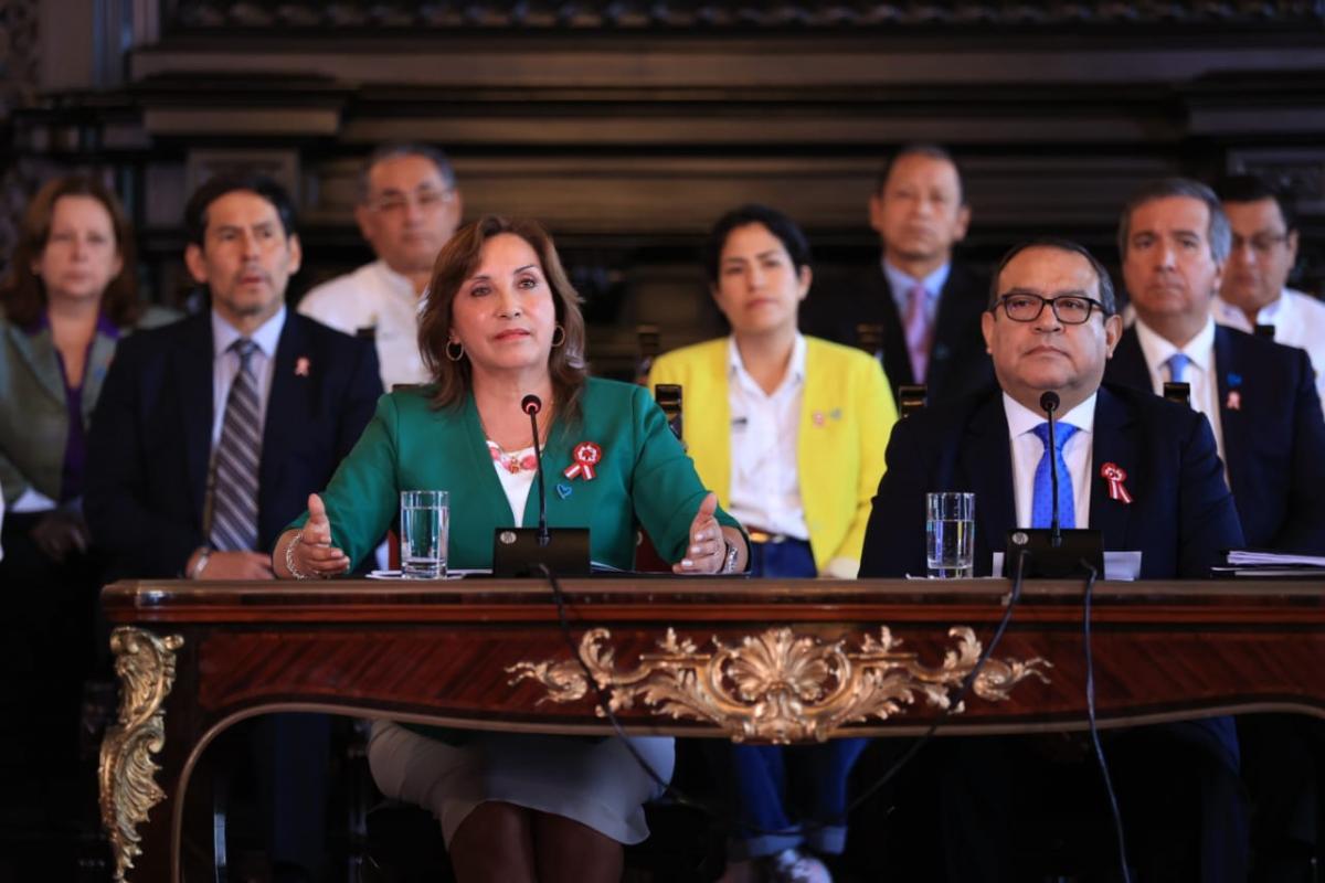 Dina Boluarte sobre presunto plagio: “Mi participación fue compilar normas legales mínimas”