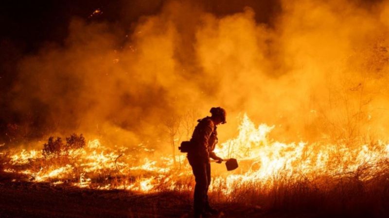 2024 incendios forestales