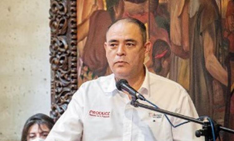 Luis Mesones Odar