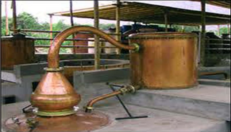 pisco día nacional del pisco