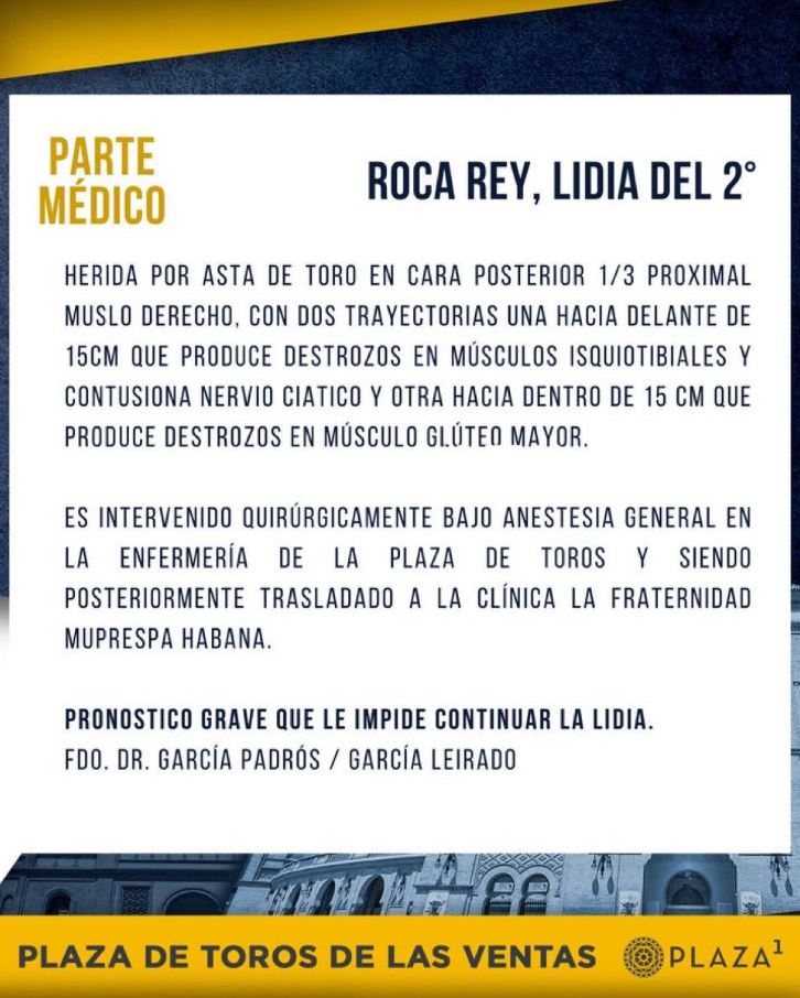 https://www.tvperu.gob.pe/sites/default/files/web/2023/u-84/captura_toro.jpg