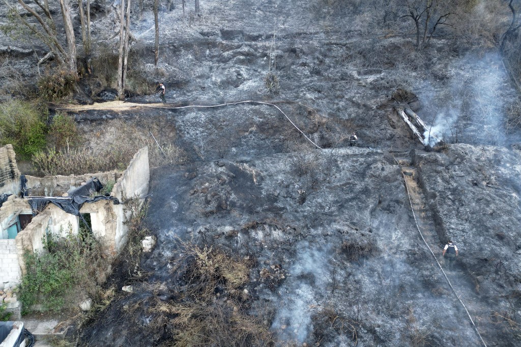 INCENDIO FORESTAL