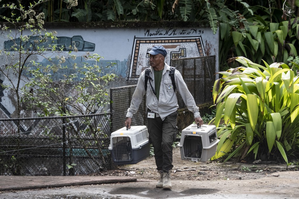 zoologico costa rica