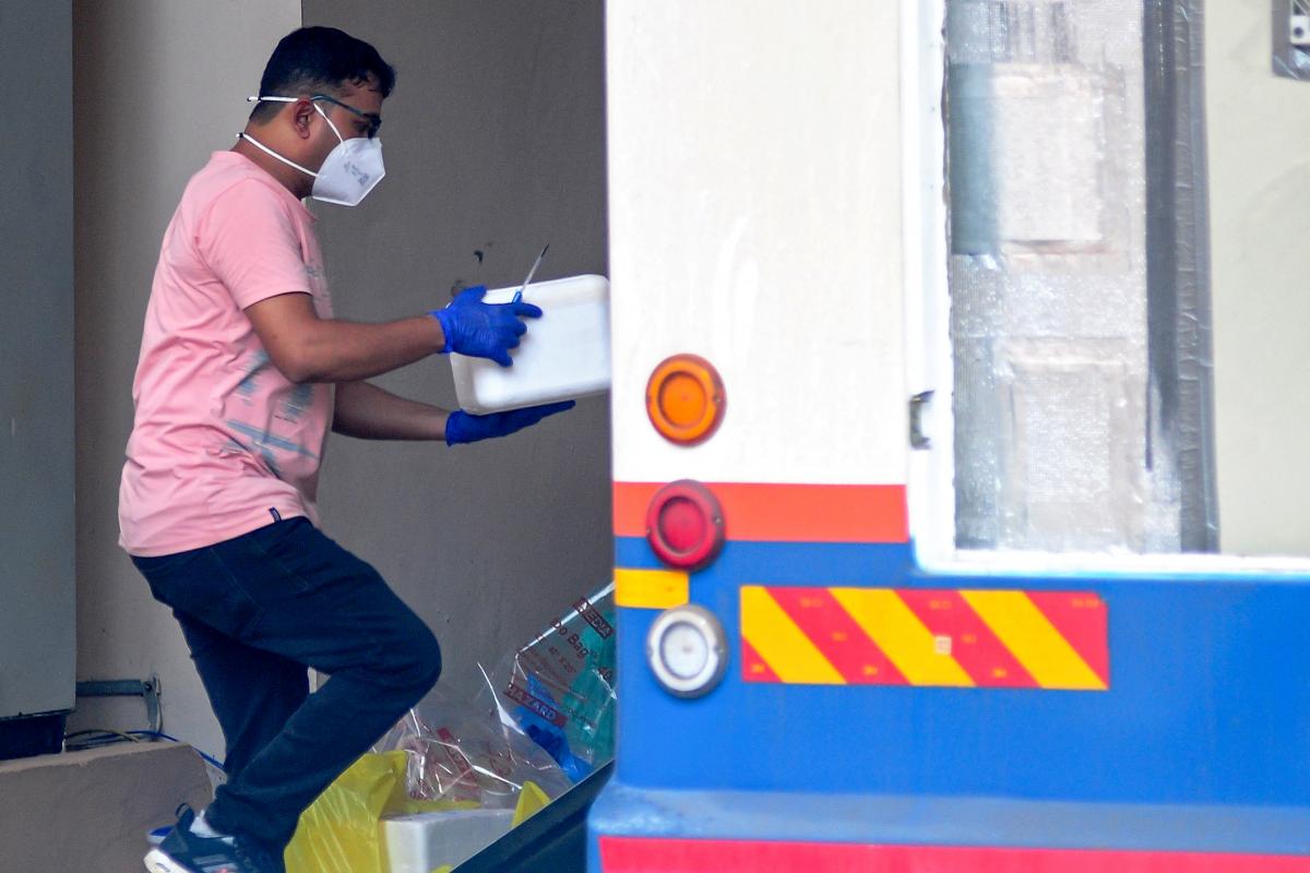 Transportando pruebas médicas del virus en camiones de pruebas