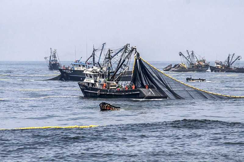 PESCA EN LA COSTA