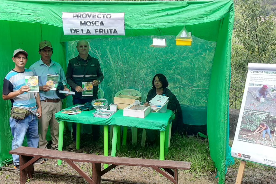 DESARROLLO PRODUCTIVO