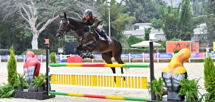 caballo bolivarianos